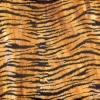 Safari Mini Tiger